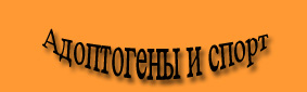 Адоптогены и спорт